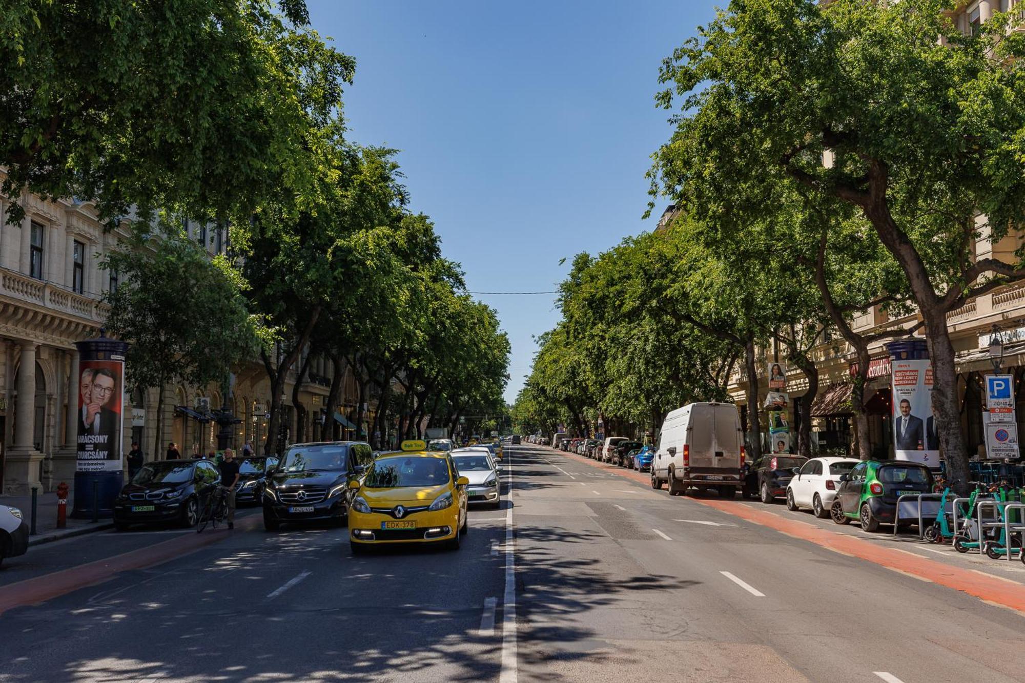 Little Treasure At Liszt With Free Parking Lejlighed